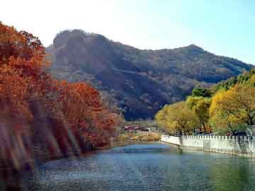 揭秘管家婆一肖一碼，探尋百分之百準(zhǔn)確的奧秘，揭秘管家婆一肖一碼，百分之百準(zhǔn)確預(yù)測的背后奧秘