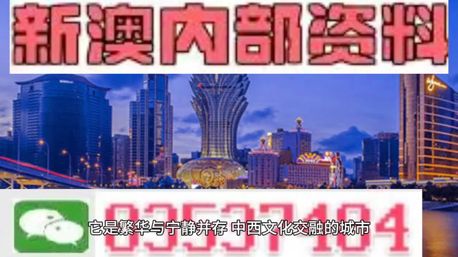 澳門(mén)全年九肖資料與未來(lái)展望（XXXX年預(yù)測(cè)版），澳門(mén)全年九肖資料展望與未來(lái)趨勢(shì)預(yù)測(cè)（XXXX年版）