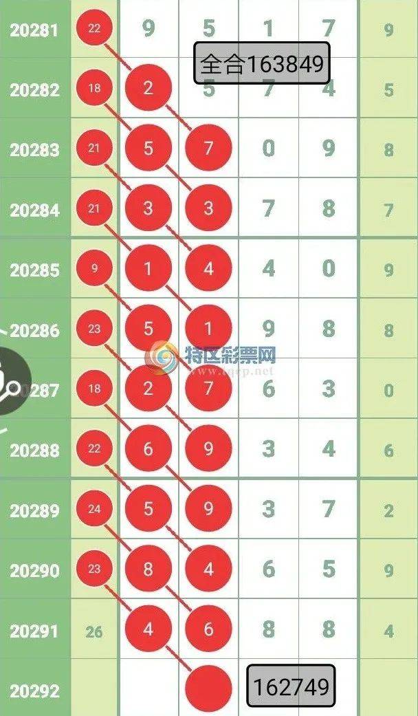 王中王四不一肖中特，探尋神秘文化符號背后的深意，探尋神秘文化符號王中王四不一肖背后的深意