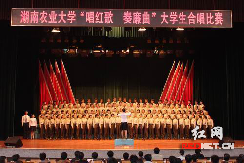 湖南農(nóng)業(yè)大學(xué)人民武裝部官網(wǎng)，功能、特點與發(fā)展，湖南農(nóng)業(yè)大學(xué)人民武裝部官網(wǎng)概覽，功能、特色與發(fā)展趨勢