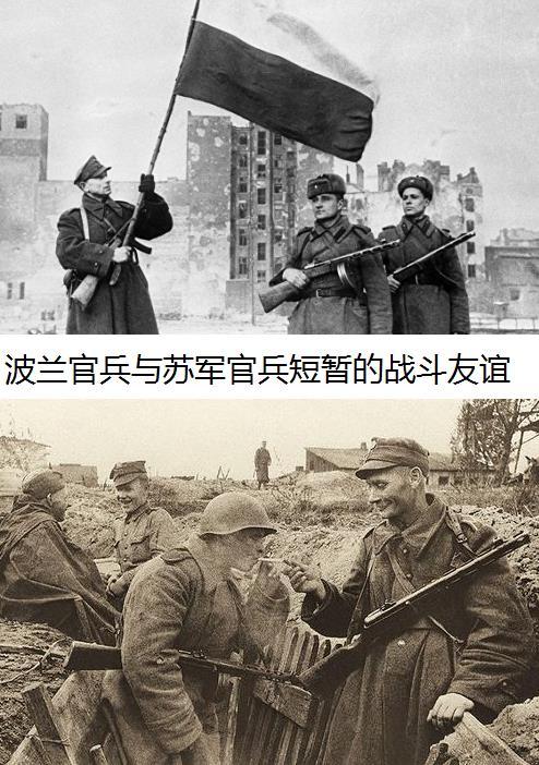 波蘭第1集團軍，歷史、現(xiàn)狀與前瞻，波蘭第1集團軍，歷史沿革、現(xiàn)狀解析與未來前瞻