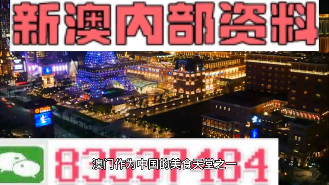 新澳門內(nèi)部正版資料大全，探索與解讀，澳門內(nèi)部正版資料大全，深度探索與解讀
