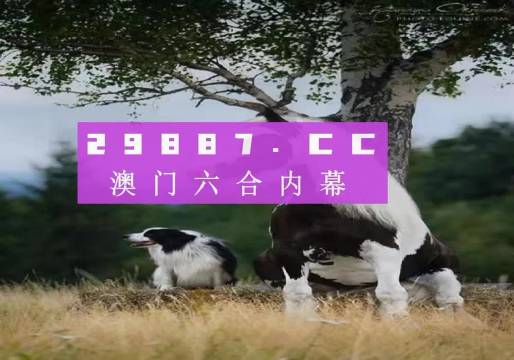 澳門跑狗，歷史、文化與現(xiàn)代娛樂的交融，澳門跑狗，歷史、文化與現(xiàn)代娛樂的交匯點