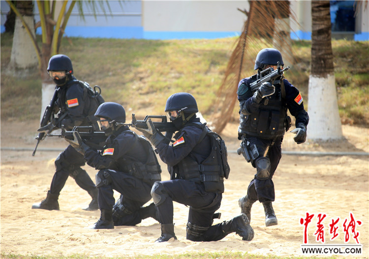 揭秘蛟龍突擊隊所屬軍種，揭秘蛟龍突擊隊所屬軍種，神秘特種部隊探秘