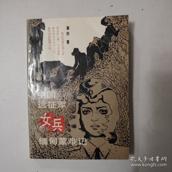 緬甸遠(yuǎn)征軍的小說(shuō)，英勇與犧牲的史詩(shī)，緬甸遠(yuǎn)征軍，英勇?tīng)奚氖吩?shī)之旅