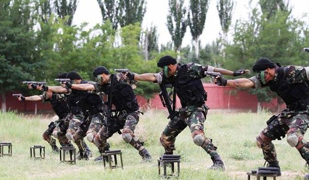 揭秘蛟龍突擊隊與先進武器，戰(zhàn)斗力倍增的力量之源，揭秘蛟龍突擊隊與先進武器，戰(zhàn)斗力倍增的源泉