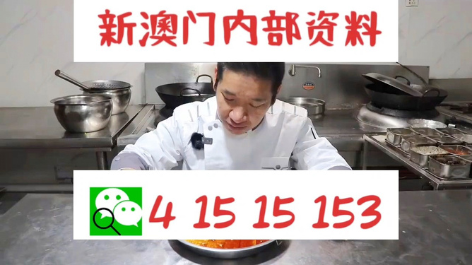 管家婆一肖資料大全，深度解析與實用指南，管家婆一肖資料大全，深度解析與實用指南手冊