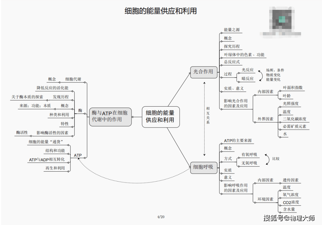 三肖必出一期與劉伯溫的智慧，劉伯溫智慧揭秘，三肖必出一期定律