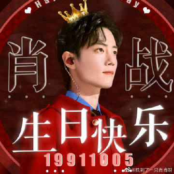 一肖一碼一一肖一子，探尋背后的神秘與魅力，探尋生肖一碼一子的神秘魅力與背后故事