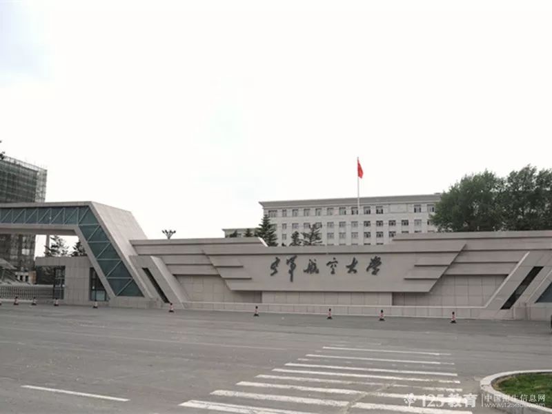中國人民解放軍空軍編制組成研究，中國人民解放軍空軍編制組成深度解析