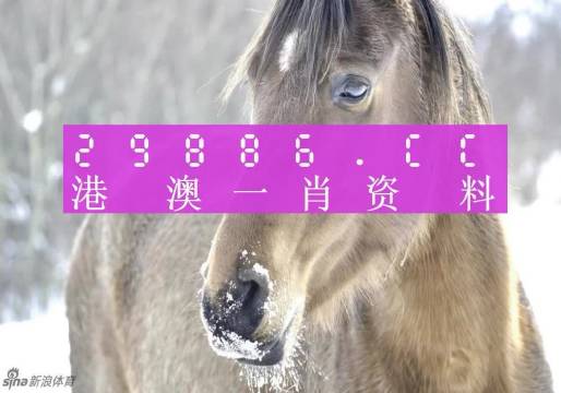 澳門一肖一碼，揭秘背后的秘密與真相，澳門一肖一碼揭秘背后的秘密真相大揭秘