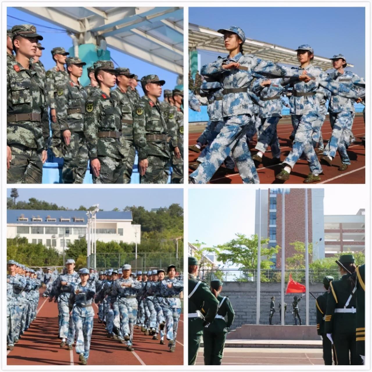 中央軍事頻道在2020年的表現(xiàn)與影響，中央軍事頻道在2020年的表現(xiàn)及其影響力分析