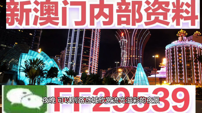 澳門今晚必開一肖一特，探索幸運(yùn)背后的秘密，澳門今晚必開一肖一特，揭開幸運(yùn)背后的秘密之旅