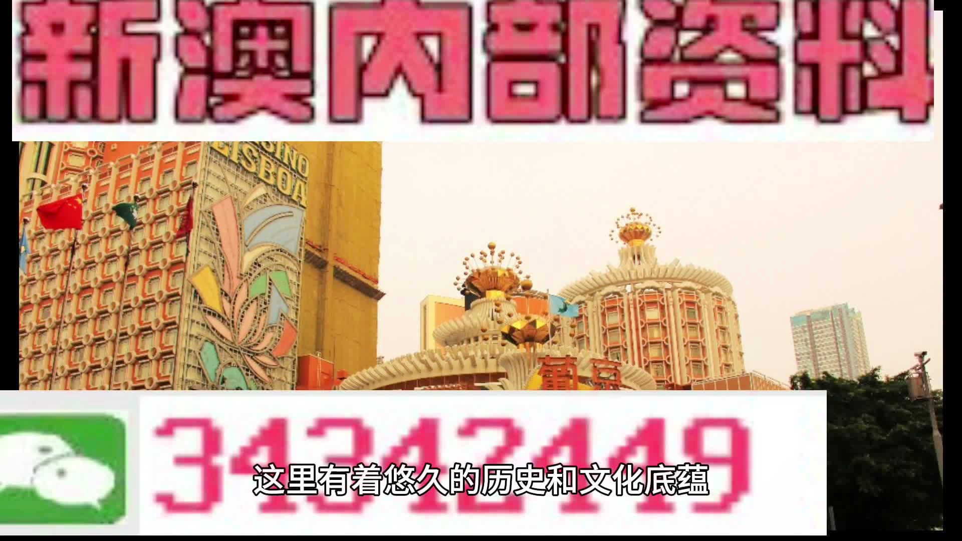 澳門(mén)未來(lái)展望，聚焦2025新澳門(mén)資料大全（第123期），澳門(mén)未來(lái)展望，聚焦新澳門(mén)資料大全（第123期展望至2025年）