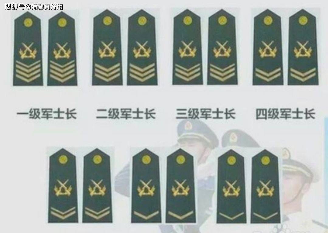 七級(jí)士官軍銜，榮譽(yù)與責(zé)任的象征，七級(jí)士官軍銜，榮譽(yù)與責(zé)任的標(biāo)志