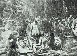 海南島戰(zhàn)役，雙方兵力對(duì)比，海南島戰(zhàn)役，兵力對(duì)比揭秘
