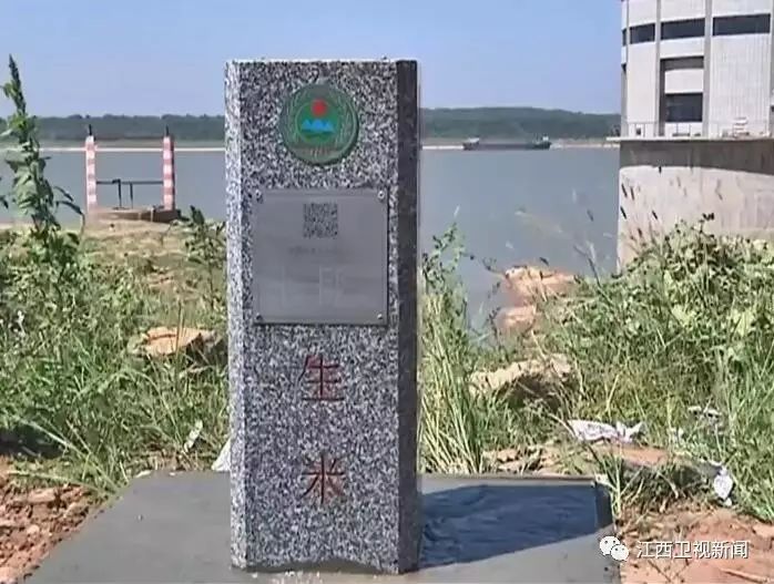 樊孝俊，時(shí)代先鋒，引領(lǐng)未來(lái)的卓越力量，樊孝俊，時(shí)代先鋒，引領(lǐng)卓越未來(lái)之力