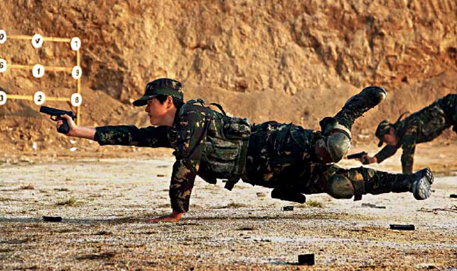 軍中玫瑰，31集團(tuán)軍女子特戰(zhàn)連的榮耀與挑戰(zhàn)，軍中玫瑰，女子特戰(zhàn)連的榮耀與挑戰(zhàn)——31集團(tuán)軍的獨(dú)特篇章