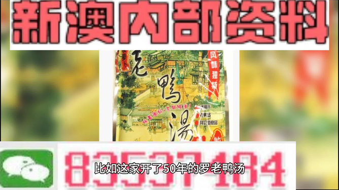 新澳2025年正版資料深度解析，新澳2025年正版資料深度剖析