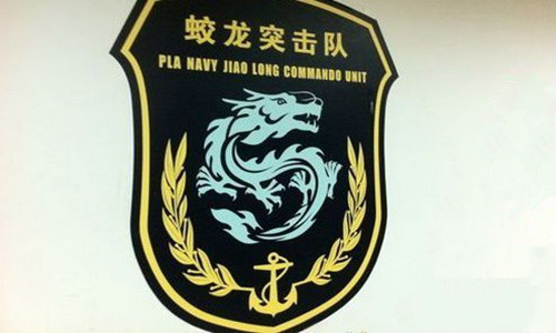 蛟龍突擊隊編制是連嗎？——解析特種部隊編制與使命，特種部隊編制揭秘，蛟龍突擊隊是連級單位嗎？解析其使命與編制