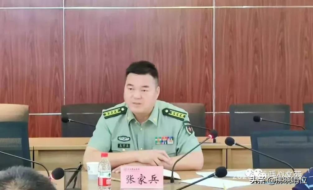 集團(tuán)軍處長(zhǎng)級(jí)別的職責(zé)與角色解析，集團(tuán)軍處長(zhǎng)級(jí)別的職責(zé)與角色深度解析