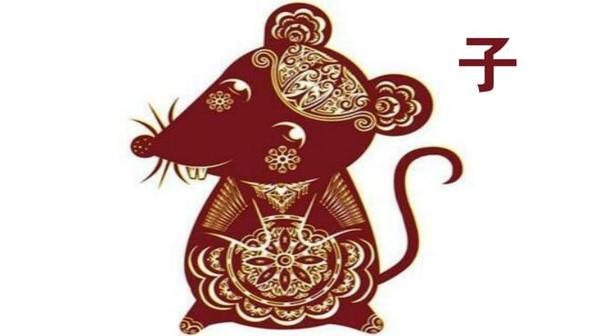 今晚一定出準確生肖，探尋生肖預測的魅力與真相，探尋生肖預測魅力與真相，今晚準確生肖揭曉之夜