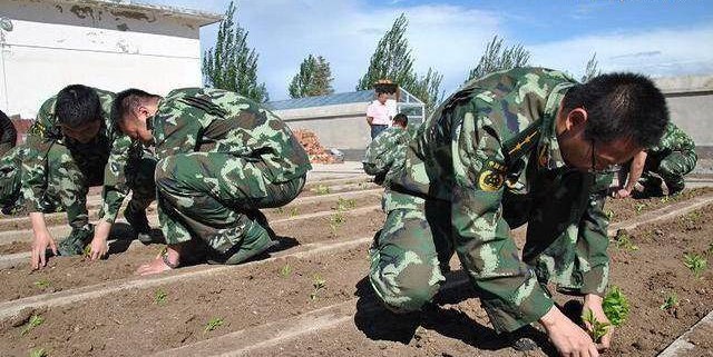 軍事農(nóng)業(yè)頻道是否已被刪除？探究背后的原因與影響，軍事農(nóng)業(yè)頻道背后的消失原因及其影響探究