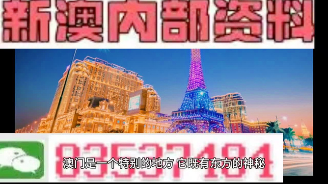 新澳門(mén)正版精準(zhǔn)免費(fèi)大全，探索與解析，澳門(mén)正版精準(zhǔn)資料探索與解析大全