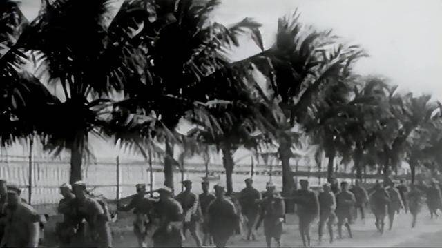 海南島戰(zhàn)役對(duì)登臺(tái)作戰(zhàn)的啟示，海南島戰(zhàn)役對(duì)登臺(tái)作戰(zhàn)的啟示與影響