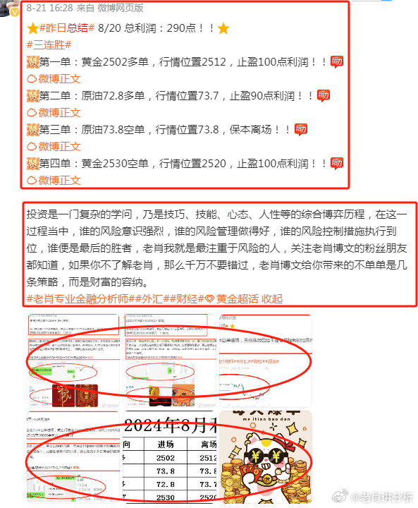 香港王中王一字拆肖，探尋背后的文化意蘊與歷史脈絡，香港王中王一字拆肖，探尋文化意蘊與歷史脈絡
