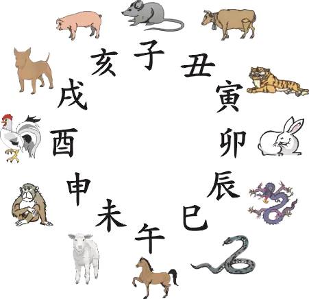王中王016指一生肖——探尋背后的神秘與魅力，王中王016生肖背后的神秘魅力探尋