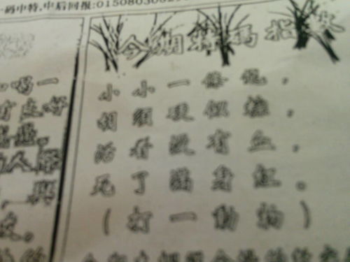 揭秘劉伯溫四肖選一肖的神秘預(yù)測(cè)藝術(shù)，劉伯溫四肖選一肖的神秘預(yù)測(cè)藝術(shù)揭秘