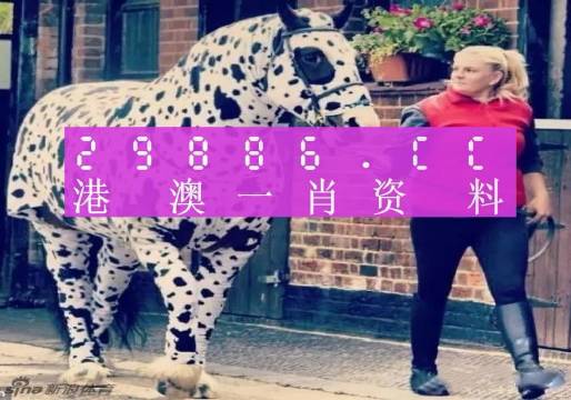澳門王中王，一肖一特一中之奧秘，澳門王中王，揭秘一肖一特一中之奧秘