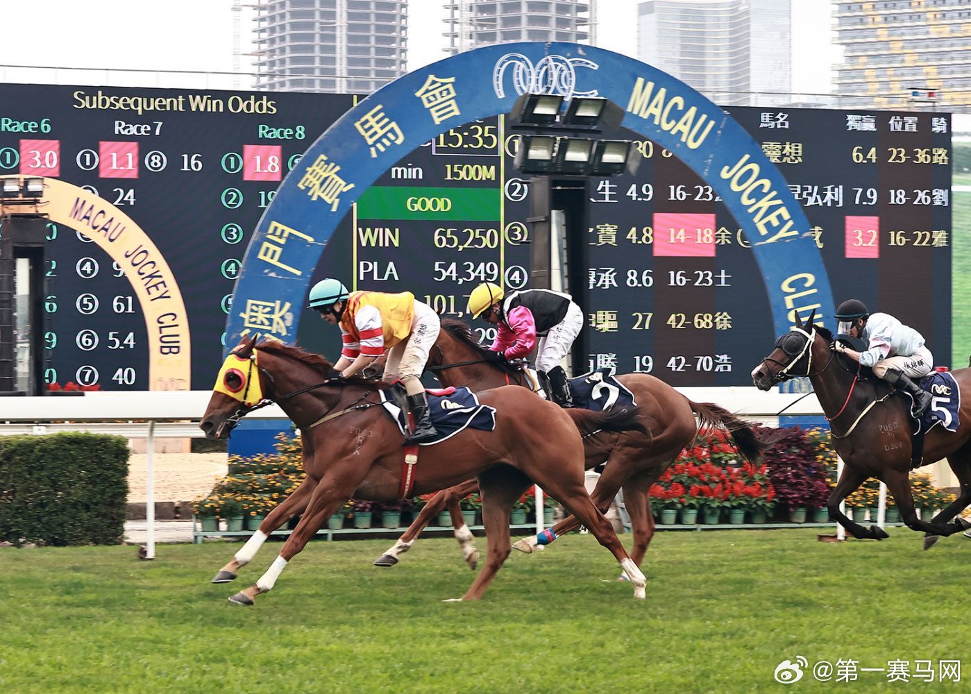 澳門馬今天開什么特馬——探索澳門賽馬世界的奧秘，澳門賽馬揭秘，今日特馬探索之旅