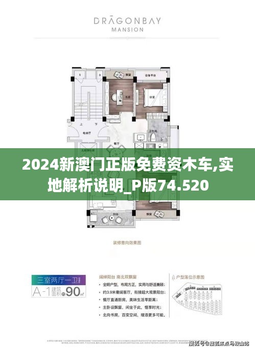 2025新澳門正版免費資木車