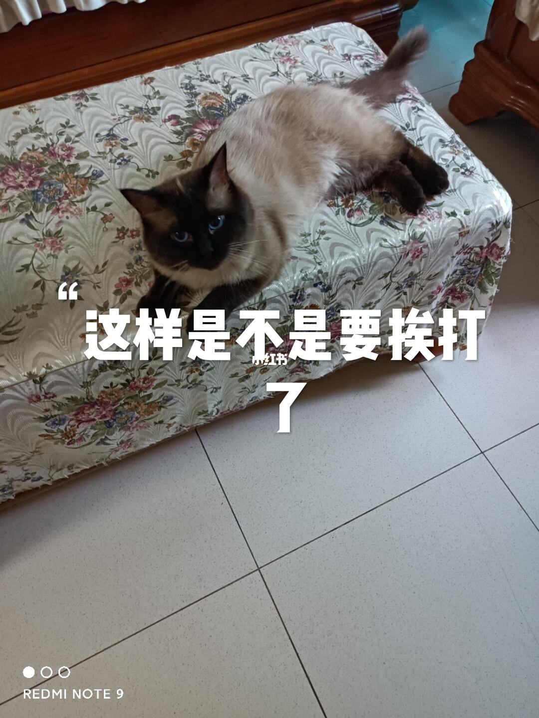 面對挑戰(zhàn)，做好挨打準備的智慧與勇氣，面對挑戰(zhàn)，智慧與勇氣的挨打準備之道