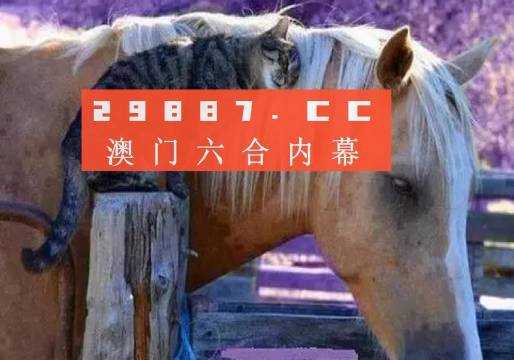 澳門最快開(kāi)獎(jiǎng)六開(kāi)四不像，探索與解析，澳門六開(kāi)四不像彩票開(kāi)獎(jiǎng)探索與解析