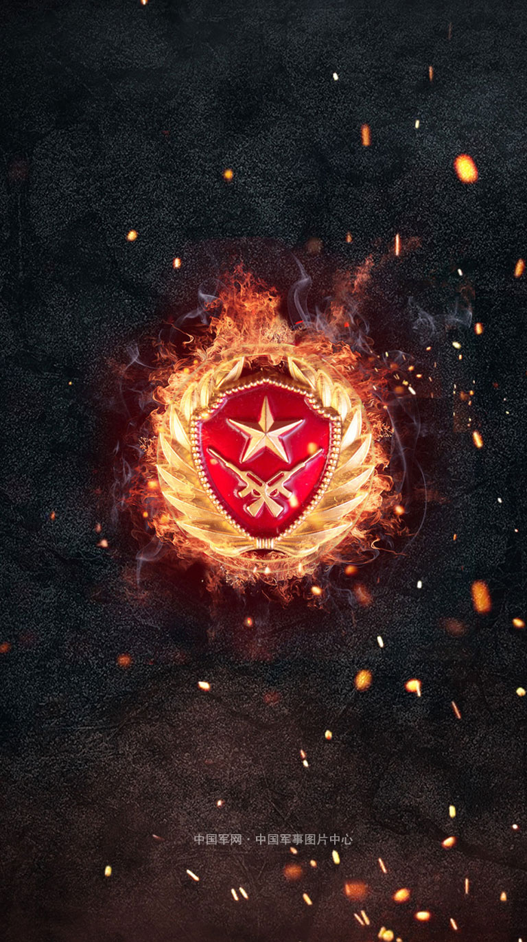 軍人領(lǐng)花圖片，榮耀的象征與時(shí)代的印記，軍人領(lǐng)花圖片，榮耀與時(shí)代的印記風(fēng)采展示