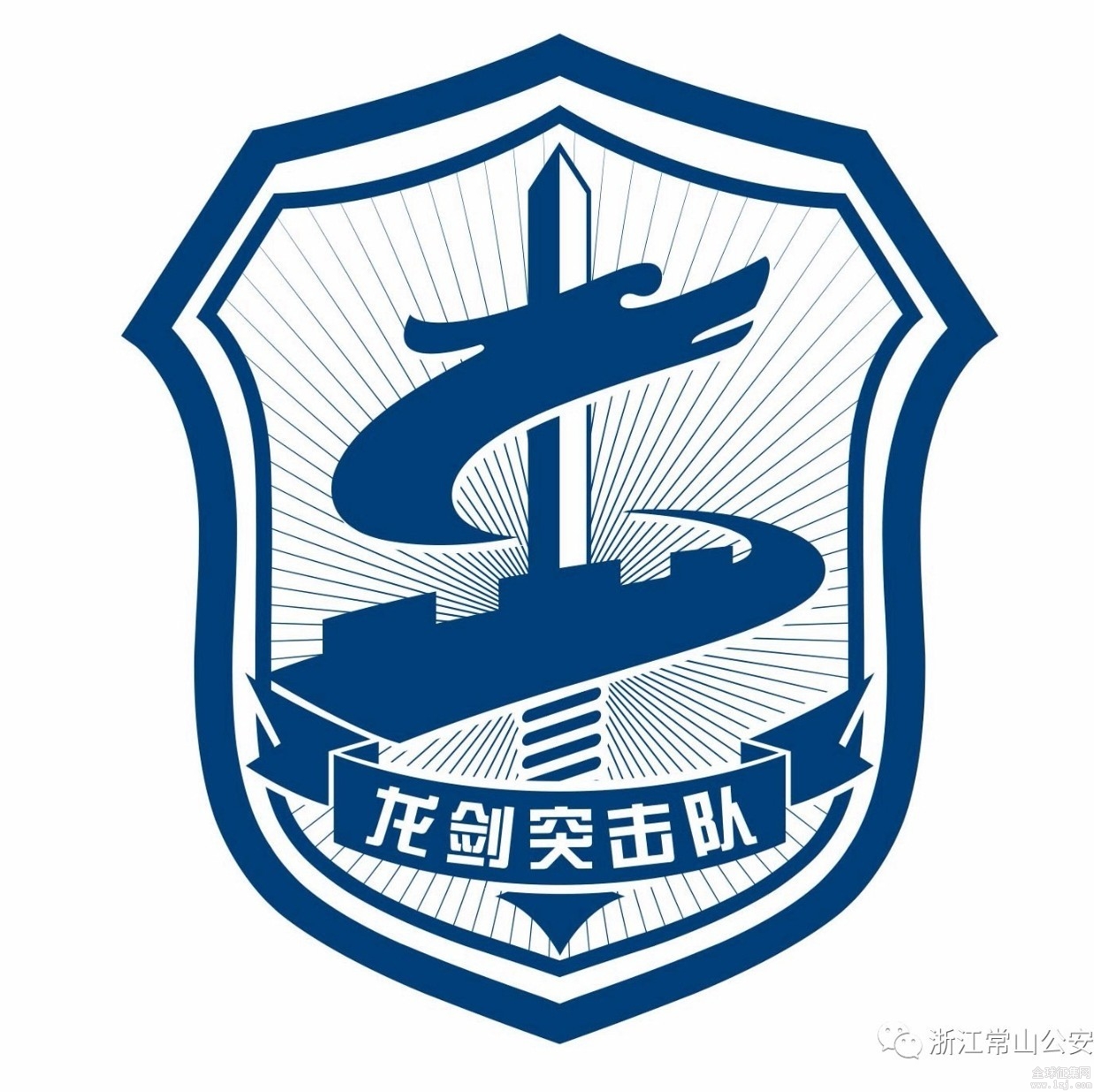 揭秘蛟龍突擊隊隊標，榮耀與使命的象征，揭秘蛟龍突擊隊隊標，榮耀與使命的象征探秘