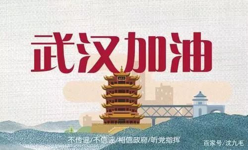 王中王、肖一特一中投資情況深度解析，王中王、肖一特投資情況深度剖析