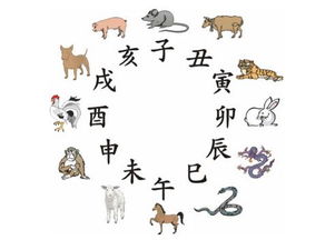 今天是什么生肖日，今日生肖運(yùn)勢(shì)揭秘，揭秘今日生肖運(yùn)勢(shì)特點(diǎn)
