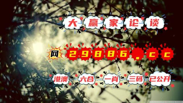 王中王與肖一碼，揭秘背后的資料與秘密，王中王與肖一碼，揭秘背后資料與神秘面紗