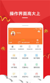 王中王一肖，解碼背后的故事與魅力，王中王一肖，背后的故事與獨特魅力解碼