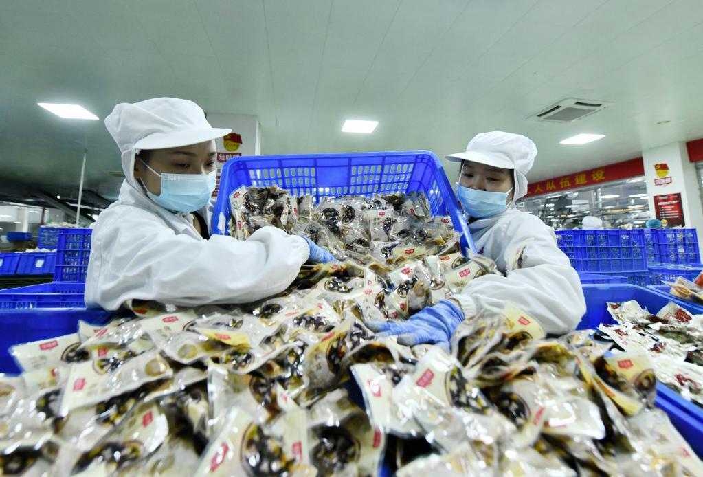 解析時政熱點(diǎn)，聚焦2023年一月的中國政治動態(tài)，時政熱點(diǎn)解析，聚焦中國政治動態(tài)一月觀察報(bào)告（2023年）