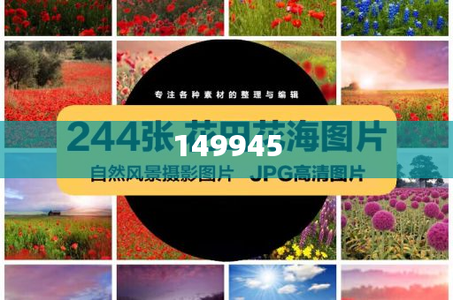 澳門正版精準(zhǔn)免費(fèi)——探索未來的機(jī)遇與挑戰(zhàn)，澳門正版精準(zhǔn)免費(fèi)，未來機(jī)遇與挑戰(zhàn)的探索
