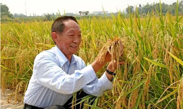 共和國勛章獲得者可以享受的待遇，共和國勛章獲得者享有的待遇，國家級(jí)榮譽(yù)的最高禮贊