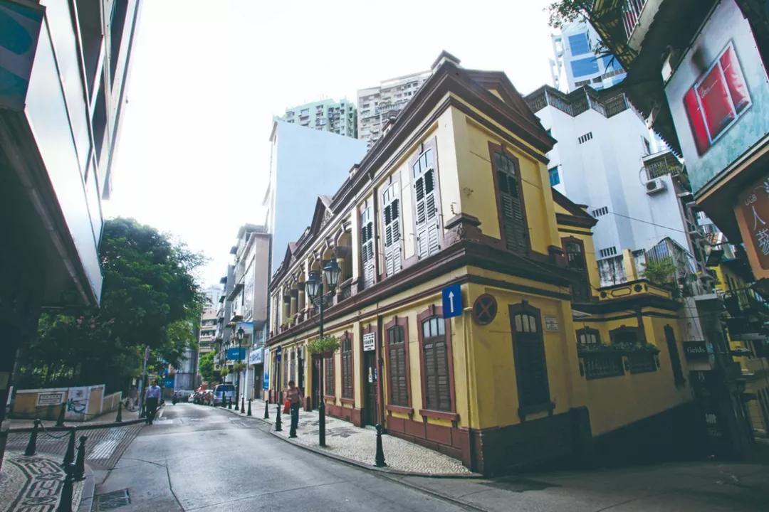 澳門8期必開一肖，揭秘生肖彩票的神秘面紗，澳門生肖彩票揭秘，8期必開一肖的神秘面紗