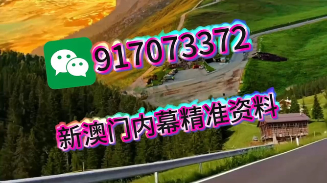 澳門王中王，一肖一馬的傳奇故事，澳門王中王，一肖一馬的神秘傳奇故事