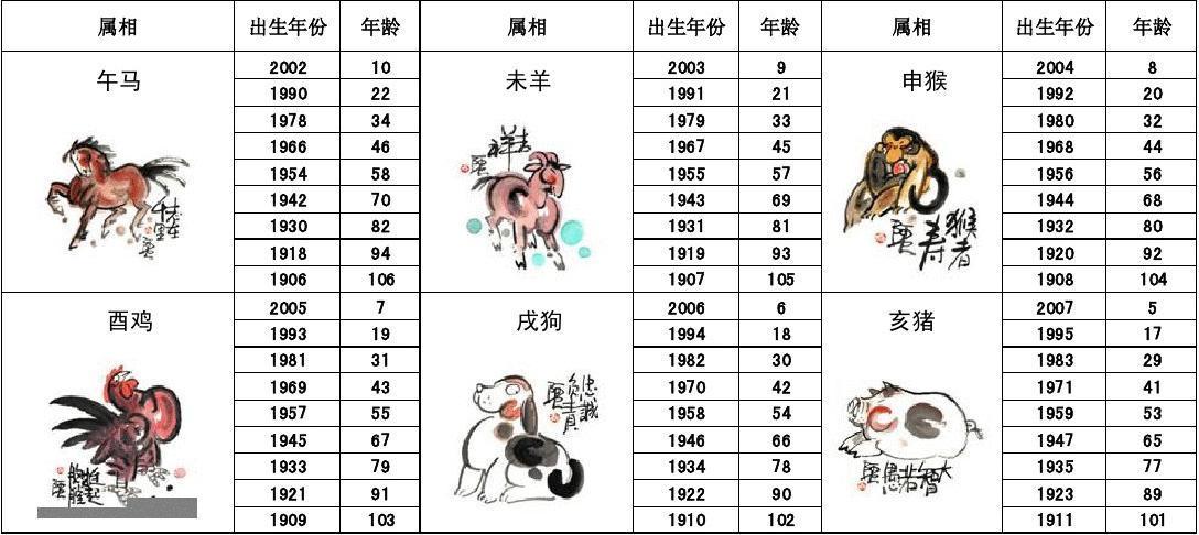 一箭20星與生肖動(dòng)物，探索神秘關(guān)聯(lián)，一箭20星與生肖動(dòng)物的神秘聯(lián)系探索