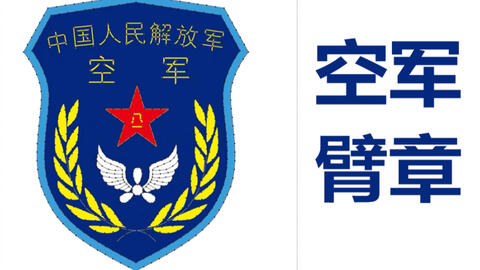 陸軍臂章，榮耀的象征與時(shí)代的印記，陸軍臂章，榮耀與時(shí)代的雙重印記